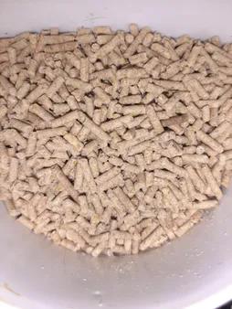 غذای مخصوص عروس هلندی تاپ فید مدل 003 وزن 1 کیلوگرم