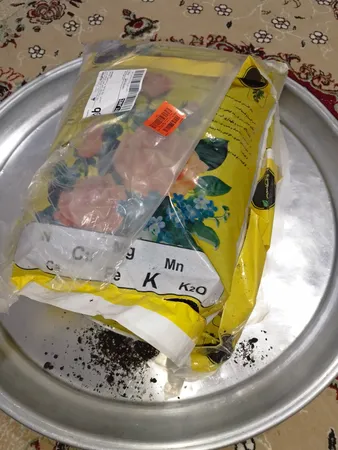 کوکوپیت و پیت ماس رویش مدل CC-MAS-3k کد Pack-01 مجموعه 3 عددی