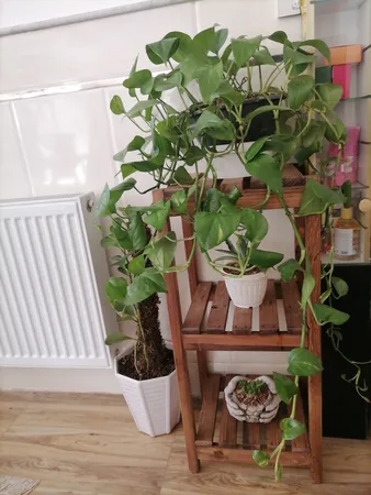 استند گلدان مدل i9