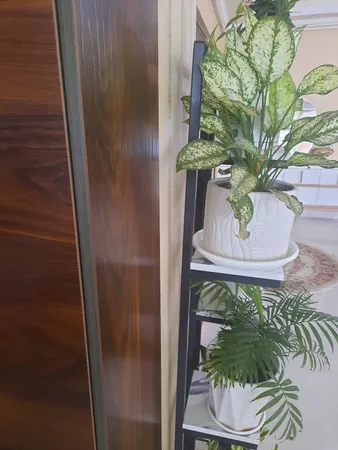 استند گلدان مدل C-100