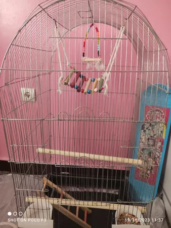 قفس عروس هلندی مدل 1034