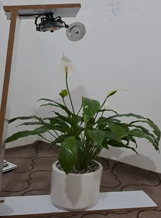 چیپ لامپ رشد گیاه 50 وات مدل 2b72C