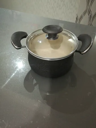 قابلمه ظرفیران رهنمون مدل آیدین سایز 16