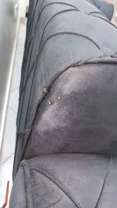 تجریه خرید مبل راحتی سه نفره شاهان دکور مدل چستر گرد کد 2033