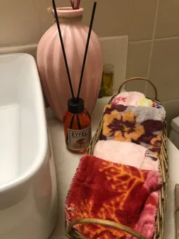 اسانس خوشبو کننده ایفل مدل 01 Mango حجم 110 میلی لیتر