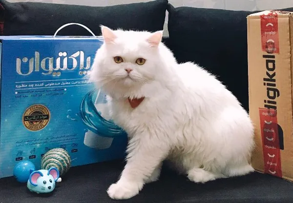 عکس ارسالی خریدار