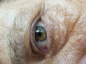 تجریه خرید لنز کلیپسی موبایل لیگین مدل Macro Lens 30-90mm 5K L-8100