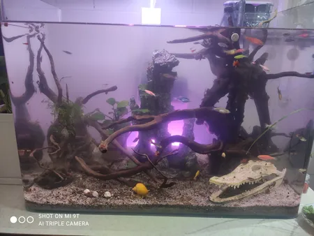 جمجمه تزیینی آکواریوم کد MS