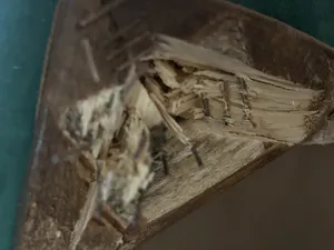 تجریه خرید مبل راحتی 7 نفره مدل مینیمال پانیذ