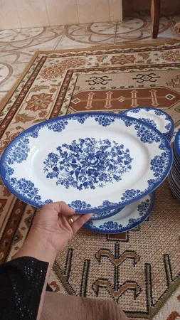 سرویس غذاخوری 28 پارچه چینی زرین ایران مدل ایتالیا اف فلورانس درجه یک