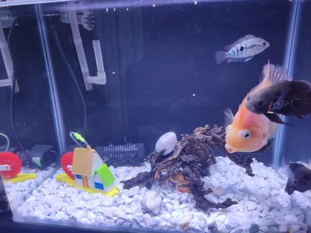 کلبه حباب ساز تزیینی آکواریوم کد 0011