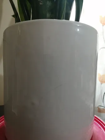 گیاه طبیعی سانسوریا کد AS-27