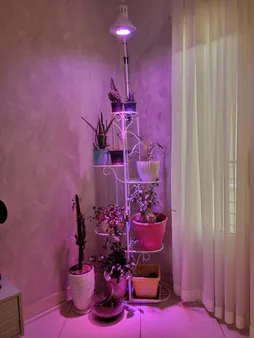 چراغ مطالعه صنایع کریم زاده مدل EN-101 همراه با لامپ ال ای دی 9 وات