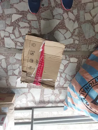 فرچه سیمی ویر بسته 3 عددی