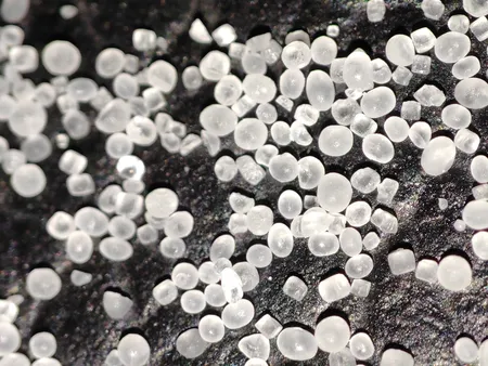 گوشی موبایل شیائومی مدل 12 2201123G دو سیم کارت ظرفیت 256 گیگابایت و رم 12 گیگابایت