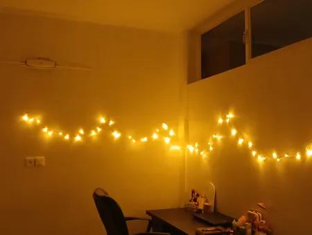 ریسه ال ای دی مدل سوزنی طول 10 متری