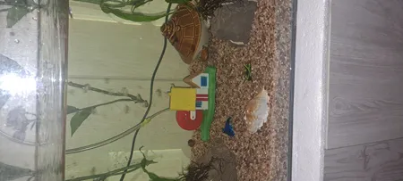 کلبه حباب ساز تزیینی آکواریوم کد 0011