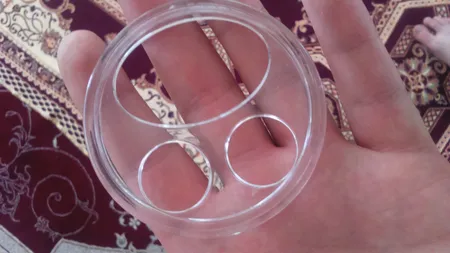 جا مسواکی مدل Wei01