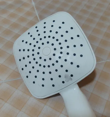 سردوش حمام پاپیروس مدل فلورا WT