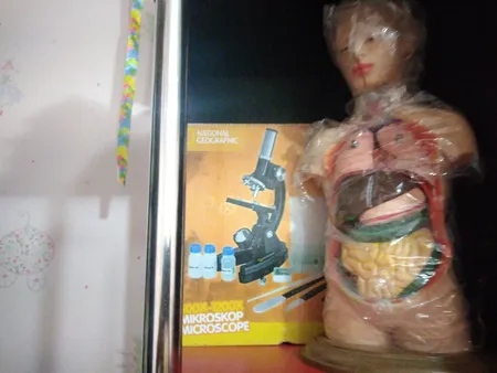 بازی آموزشی طرح مولاژ نیم تنه انسان مدل ASM06