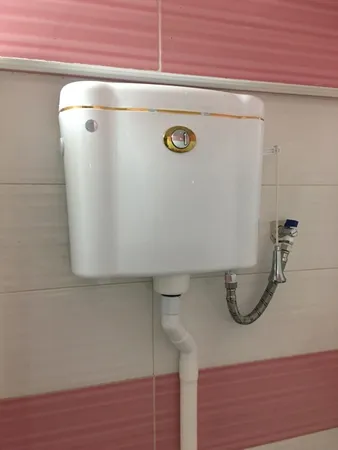 فلاش تانک سکناپلاست مدل آبان دوزمانه