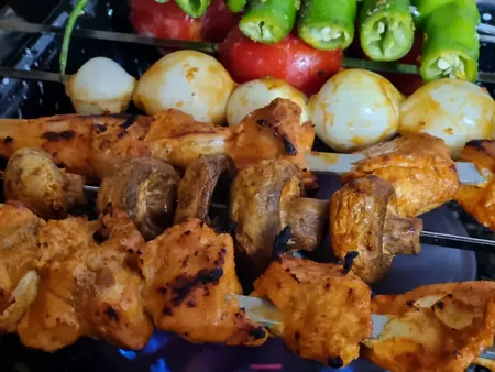 کباب پز روگازی صبا مدل رعنا