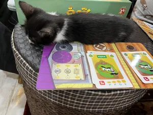 تجریه خرید بازی فکری هوپا مدل جالیز