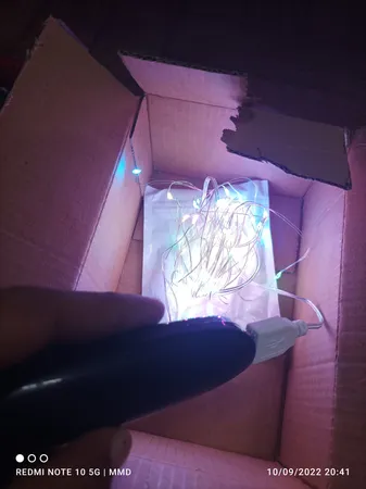 پاوربانک مدل D10 ظرفیت 3000 میلی آمپر ساعت