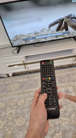 ریموت کنترل ایکس ویژن مدل 1391