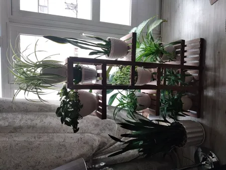 استند گلدان مدل A3