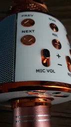 میکروفون اسپیکر مدل WS-858