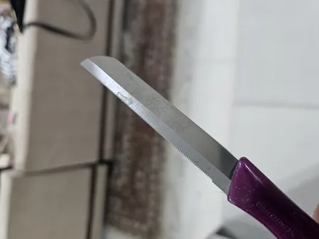 کارد میوه خوری فاردینوکس مدل Berlini