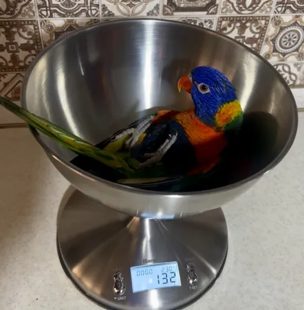 ترازو دیجیتال همیلتون مدل SH-226