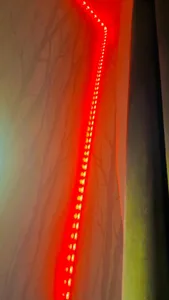 تجریه خرید ریسه ال ای دی دریم لایت مدل RGB 5050 Gaming طول 5 متر