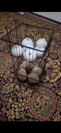 سبد سیب زمینی و پیاز مدل 3M4033