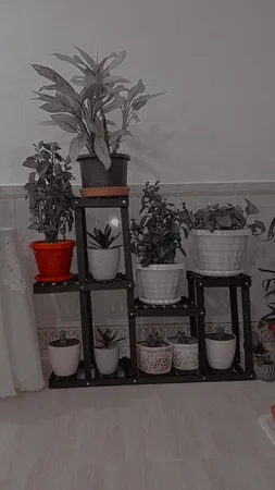 استند گلدان مدل gol3