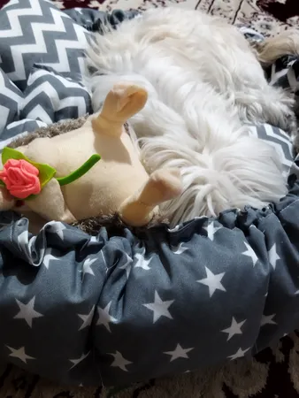 جای خواب سگ و گربه مدل mypet367