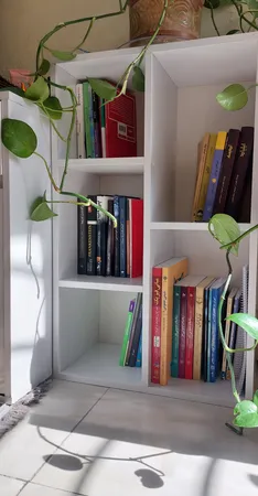 کتابخانه مدل قفسه ای IKE4407