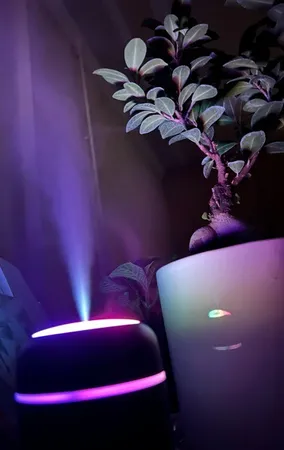 دستگاه بخور سرد مدل BCH