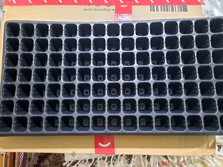 سینی نشا مدل A10 بسته 3 عددی