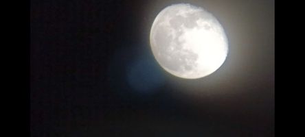 دوربین دوچشمی سلسترون مدل 20x50 upclose G2