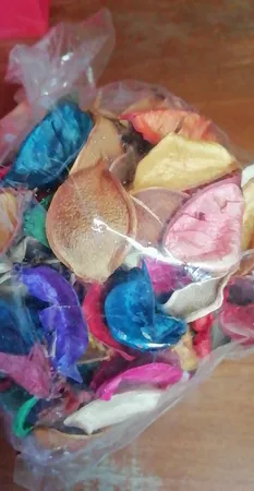 گل خشک مدل Hollands