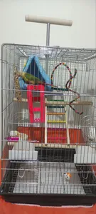 تجریه خرید تشویقی طوطی هپی برد مدل استیک پرستیژ وزن 60 گرم