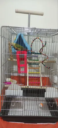 تشویقی طوطی هپی برد مدل استیک پرستیژ وزن 60 گرم