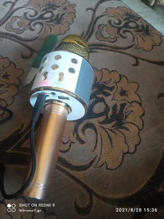 میکروفون اسپیکر مدل WS-858