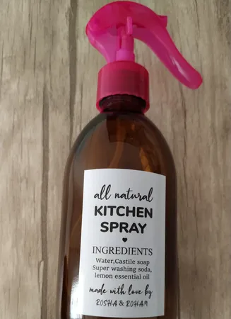 ظرف اسپری روغن مدل NATURAL مجموعه 2 عددی