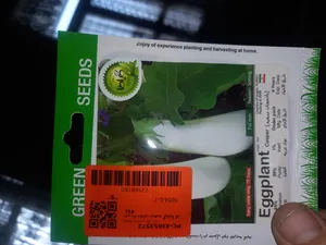 تجریه خرید بذر بادمجان سفید گیلدا کد 452