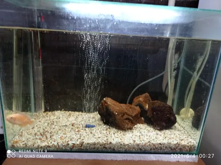 ریسه اس ام دی کد 220 طول 30 سانتی متر