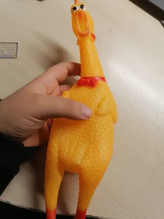 ابزار شوخی مدل مرغ نالان 676