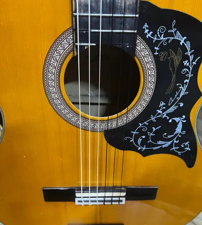 سیم گیتار کلاسیک الیس مدل A105